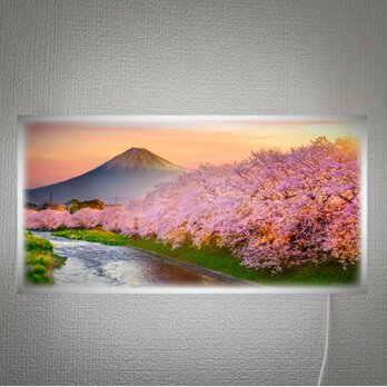 【壁掛け Lサイズ オーダー無料】富士山 さくら 桜 渓流 景色 写真 日本風景 ランプ 照明 看板 置物 雑貨 ライトBOXの画像
