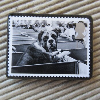 イギリス　犬切手ブローチ 9641の画像