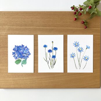 青い花ポストカードセットの画像