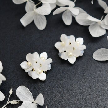 【イヤリング】ガクアジサイ（額紫陽花） ホワイトの画像