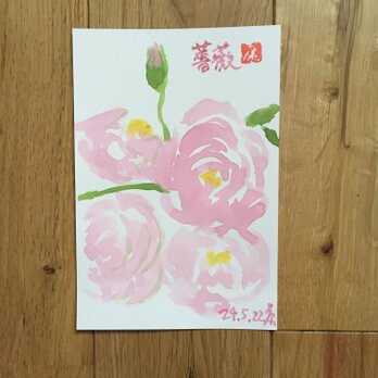 今月の記念日ポストカード　6月6日　ピンクの薔薇の画像