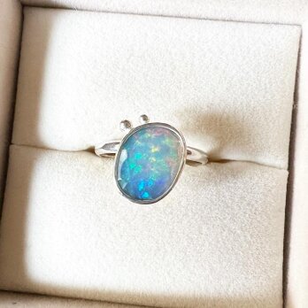 Opal Ringの画像