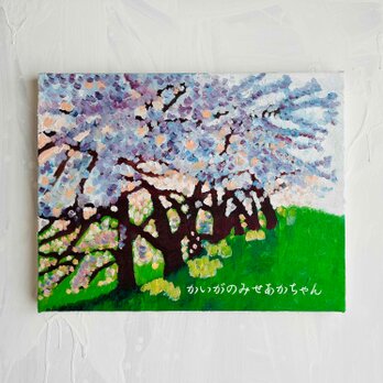原画「朝の桜２」F6・油彩画の画像