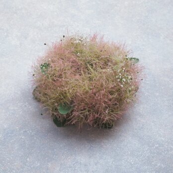 スモークツリーのミニリース