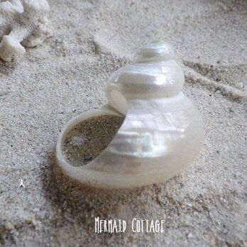 Real Seashell Ring パーリー巻き貝リングの画像