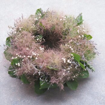 スモークツリーのリース