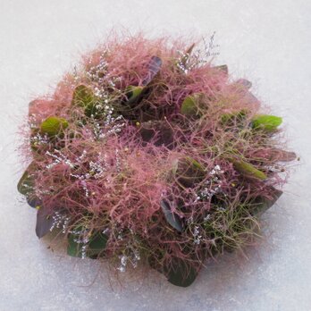 スモークツリーのリース