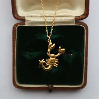 Scorpion necklaceの画像