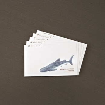 ジンベエザメの名刺メッセージカードの画像