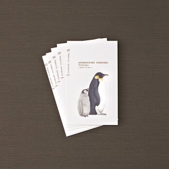 コウテイペンギンの名刺メッセージカードの画像