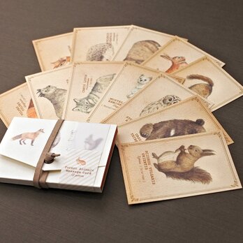 森の動物たちの図鑑風メッセージカード（専用ケース付き）の画像