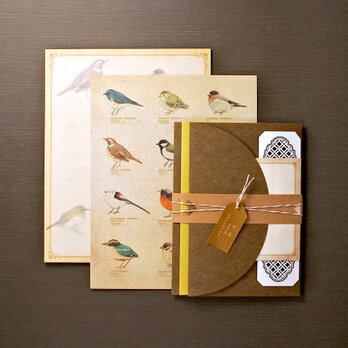 野鳥の図鑑風レターセットの画像