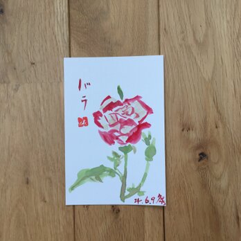 今月の記念日ポストカード　6月17日　紅白の薔薇の画像