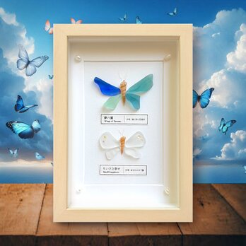〈蝶の標本〉シーグラスアートの画像