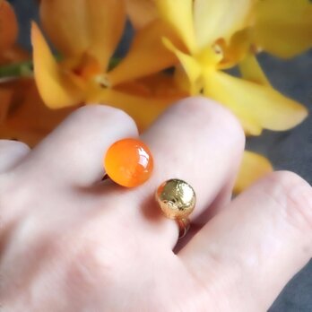 カーネリアン×メテオライト(隕石)  /天然石フォークリング --Two stones--の画像
