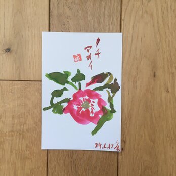 今月の記念日ポストカード　6月25日　タチアオイ　紅の画像