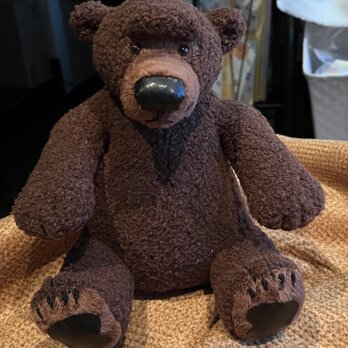 ヒグマの画像