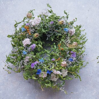 ツルシノブのリース