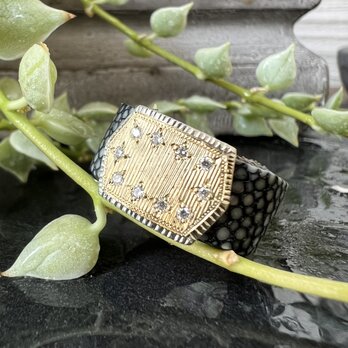LeatherRing ダイヤ　LR-24　ガルーシャレザーの画像