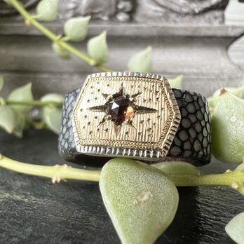 LeatherRing レディッシュブラウンダイヤ　LR-26　ガルーシャレザーの画像