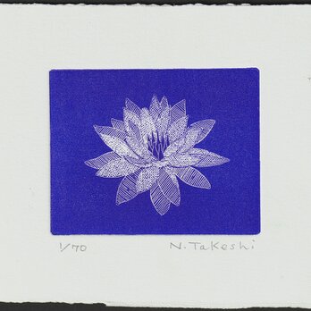 睡蓮・2024A/刷色：紺色/銅版画(作品のみ）の画像