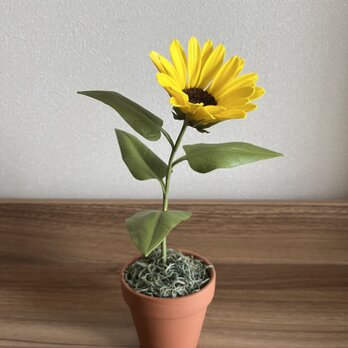 ミニヒマワリの画像
