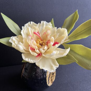 芍薬の画像