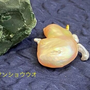 オオサンショウウオの画像
