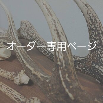 オーダー専用 鹿の角 虹水晶の杖と鹿革ケース、虹彩珊瑚のピアスの画像