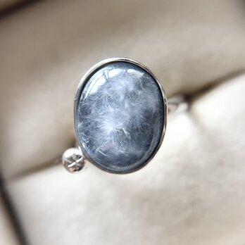 Dumortierite in Quartz 夜空のリングの画像
