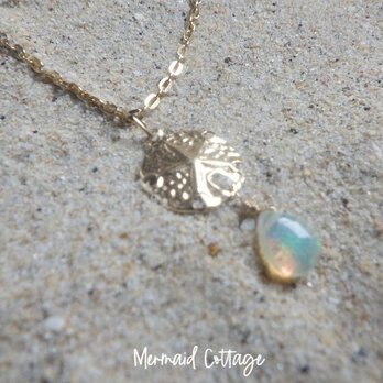 【10月誕生石】*14kgf* Sand dollar＆Opal ☆スカシカシパンとプレシャスオパールの雫ネックレスの画像