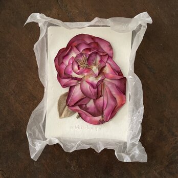 『個性的、大きな薔薇』の画像