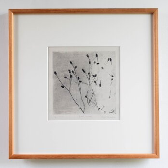 銅版画 “great burnet”（額装）の画像