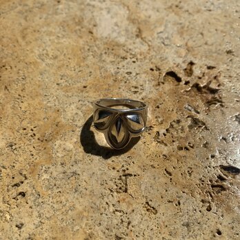 「SASA」　ringの画像