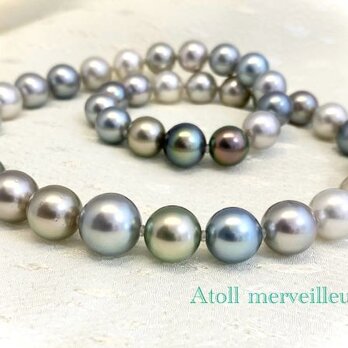 Atoll merveilleux（アトルメルヴェイユ）の画像