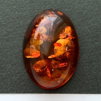 バルティックアンバー[177] 28x20mm 15Cts　天然石 ／ ルース ／カボションの画像