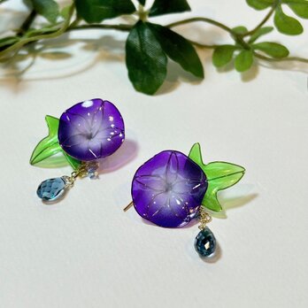 朝顔ピアス－Royal PurpleⅡ－の画像