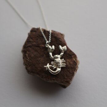 【Silver925】Scorpion necklaceの画像