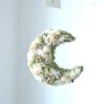 moonflowerの画像