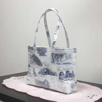 Bagビニールあるときあるだけ／世界遺産の画像