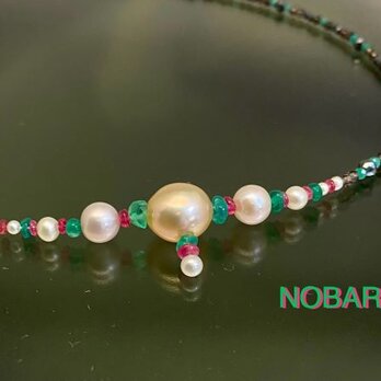 NOBARA（野バラ）の画像