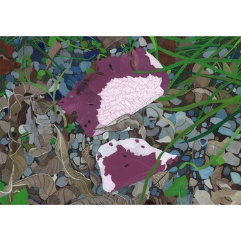 イラスト「枯れた花びら」原画の画像