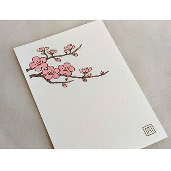 【梅】はがき・ポストカード　2枚入りの画像