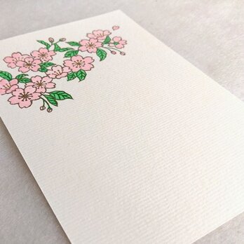 【桜】はがき・ポストカード　2枚入りの画像