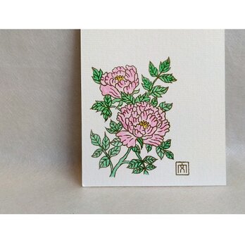 【芍薬】はがき・ポストカード　2枚入りの画像