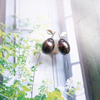 黒バロックパール・洋梨ピアスの画像