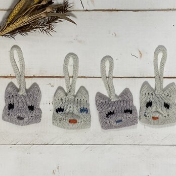 Teddy Sachet Plusの画像