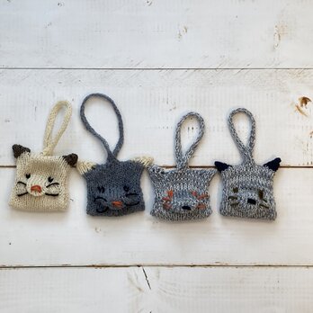 Kitten Sachet Plusの画像