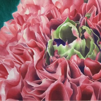 上気する生命の画像