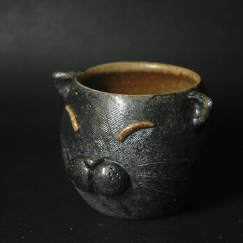 Catamic Cup c1の画像